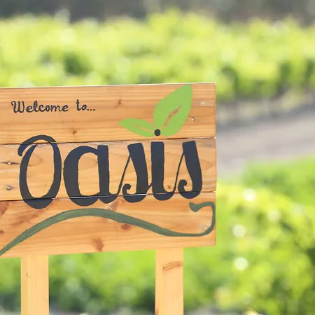 Διαμέρισμα Oasis & In *