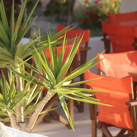 Oasis & In * Galissas