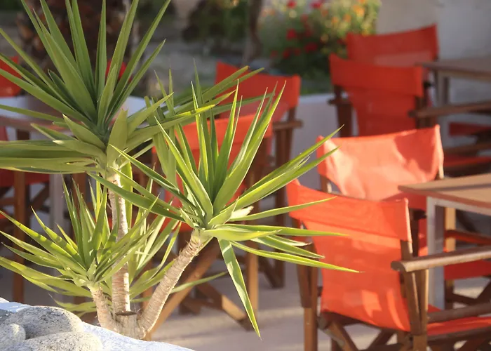 Oasis & In * Galissas